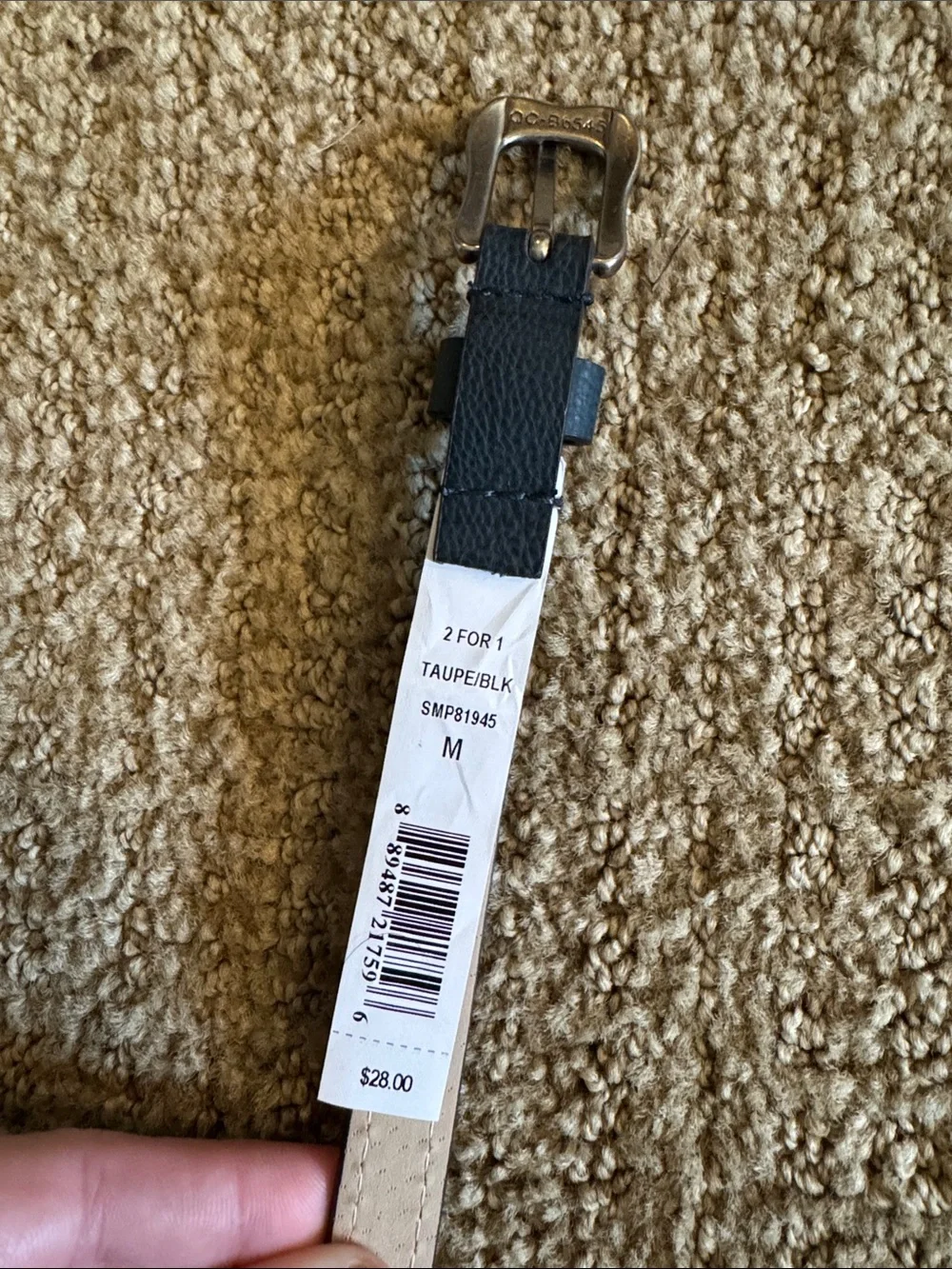 NWOT Steve Madden Belt